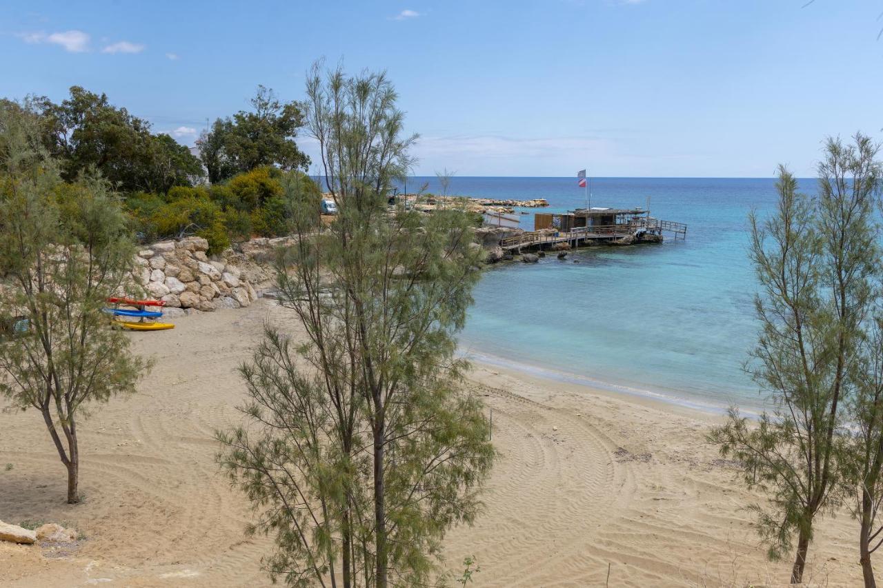 Protaras Nisia Seaside Villa Extérieur photo
